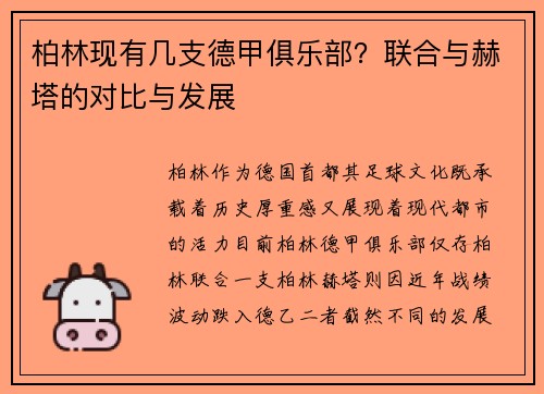 柏林现有几支德甲俱乐部？联合与赫塔的对比与发展